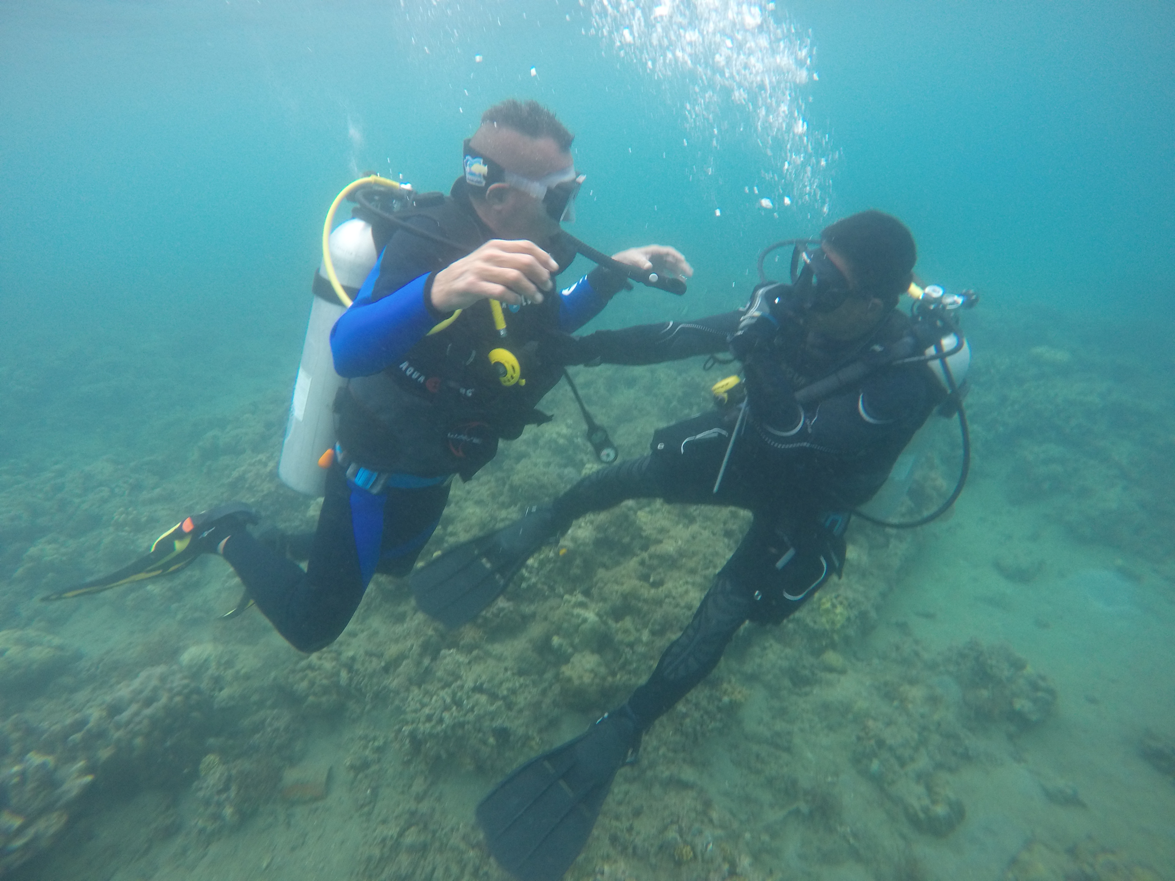 Diving and snorkeling near MatuPoint